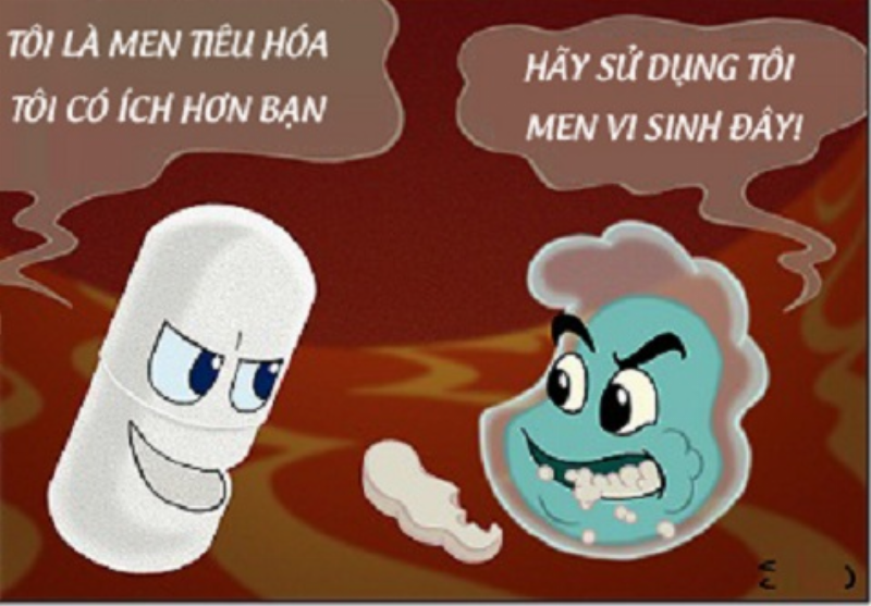 Hinh anh minh hoa cac cau hoi va tra loi lien quan den men tieu hoa cho meo
