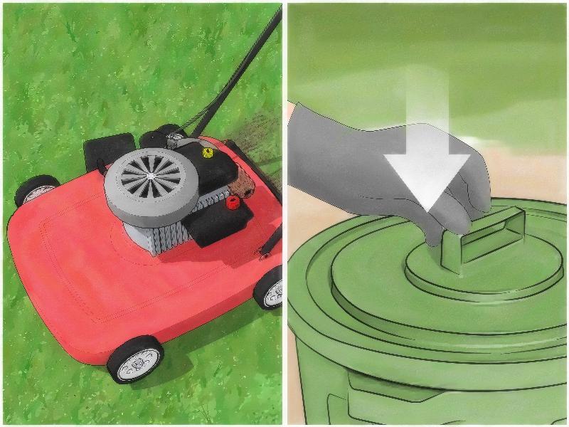 Hình ảnh hướng dẫn các bước gỡ bỏ ve chó bằng nhíp hoặc dụng cụ chuyên dụng