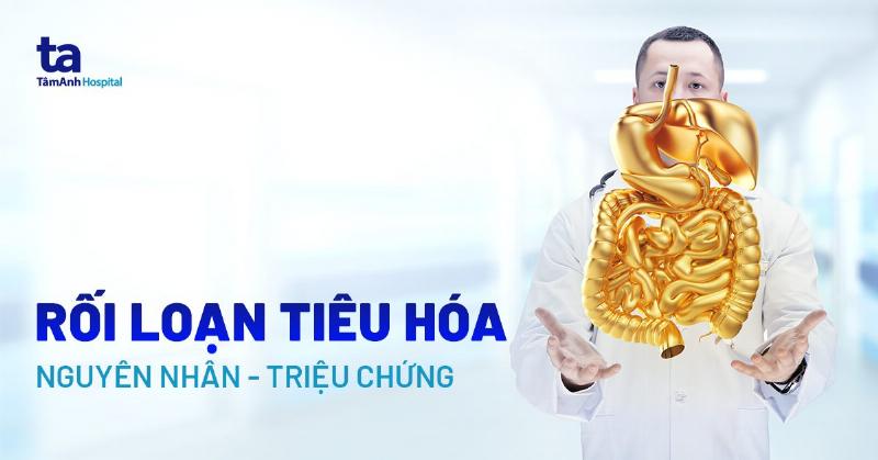 Hinh anh mo phong he tieu hoa cua meo khoe manh voi cac loai vi khuan co loi