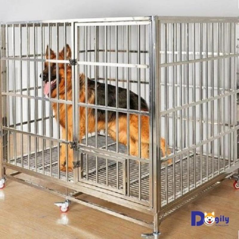 Cách lắp đặt mái che chống thấm nước cho chuồng chó ngoài trời bằng gỗ hoặc tôn
