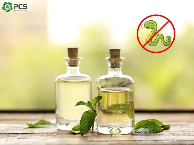 Hướng dẫn lắp ráp các bức tường cho chuồng chó tự làm tại nhà bằng gỗ