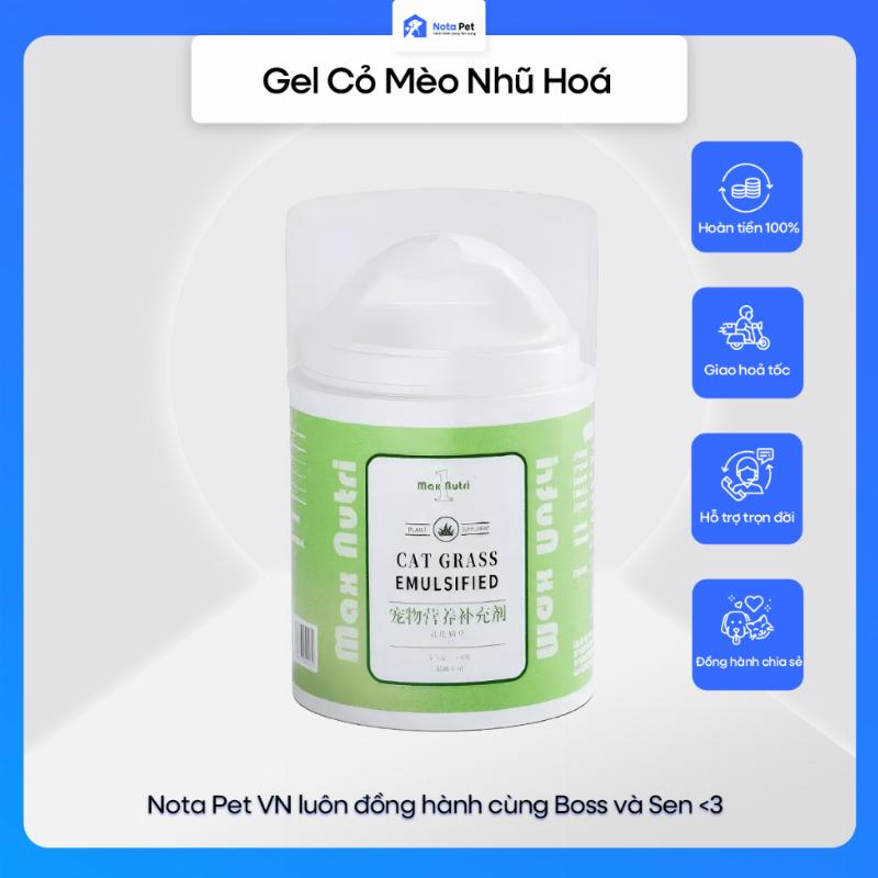 Meo khoe manh, long muot ma, vui ve sau khi duoc bo sung men tieu hoa