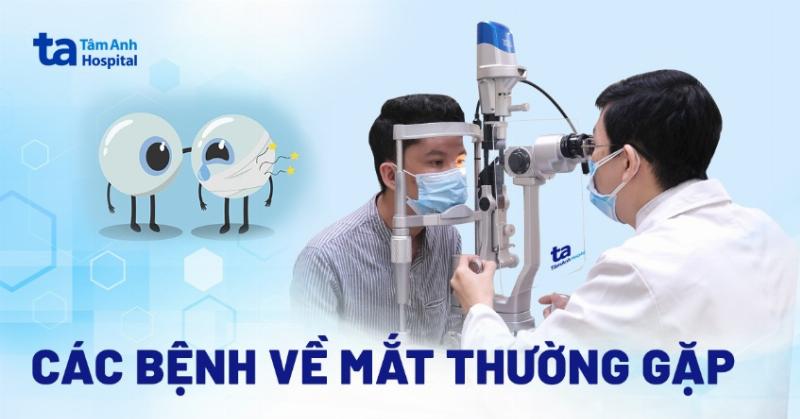 Hinh anh mat meo bi chay mu the hien cac nguyen nhan pho bien gay ra tinh trang nay