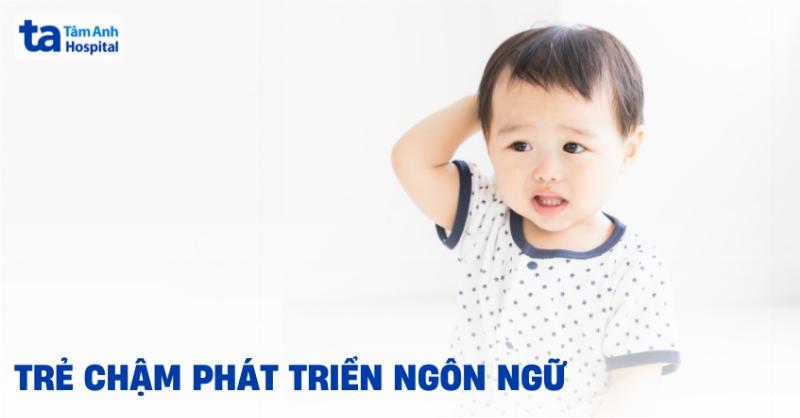 Hình ảnh một chú mèo con đang được bác sĩ thú y khám, nhấn mạnh tầm quan trọng của việc kiểm tra sức khỏe định kỳ và tư vấn dinh dưỡng chuyên nghiệp