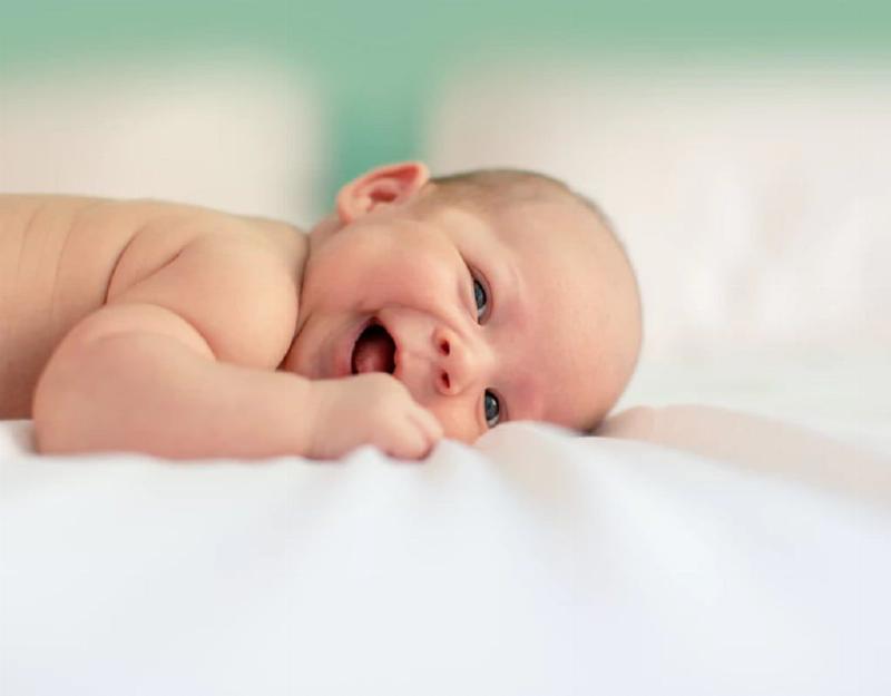 Hình ảnh mèo con mới sinh, mắt chưa mở, minh họa giai đoạn đầu đời