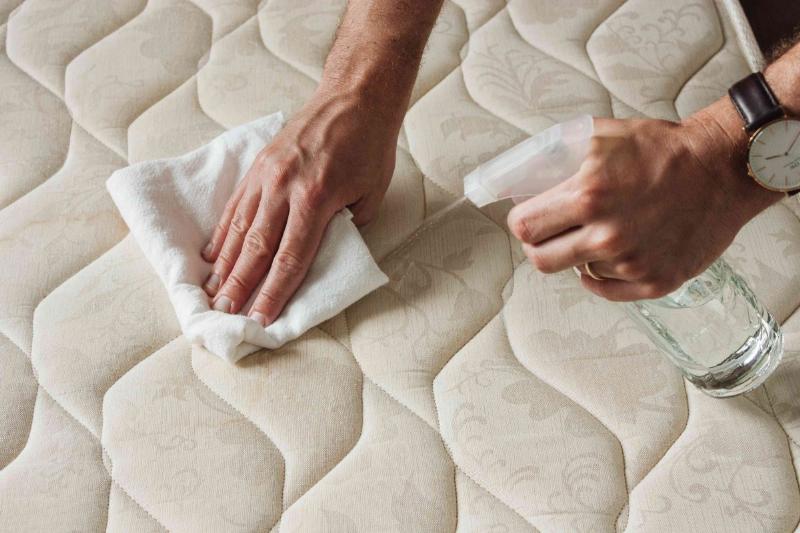 Người chủ hút bụi thảm sau khi khử mùi nước tiểu chó