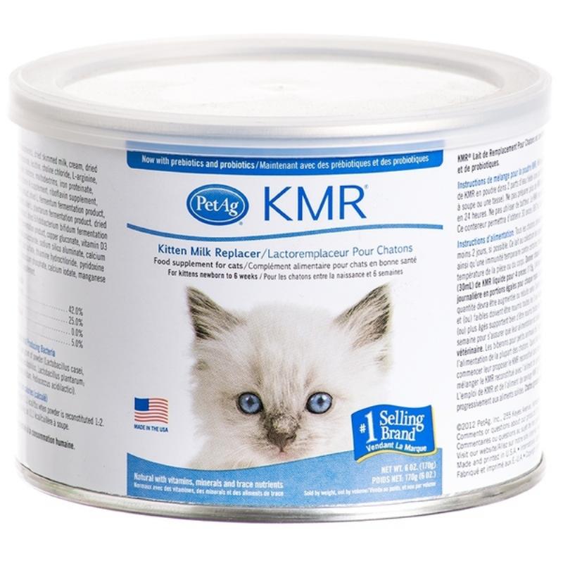 Kiểm tra nhiệt độ sữa KMR trước khi cho mèo con bú