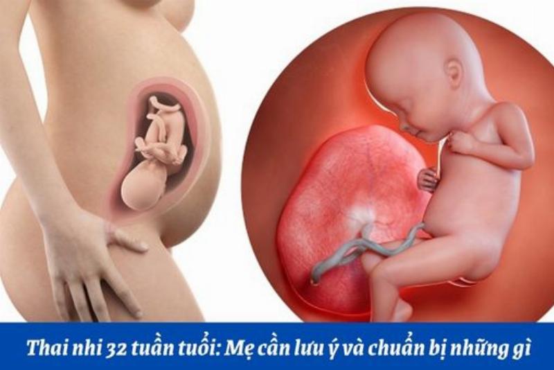 Hinh anh cac cau hoi thuong gap ve viec nuoi meo co tot khong va cach cham soc
