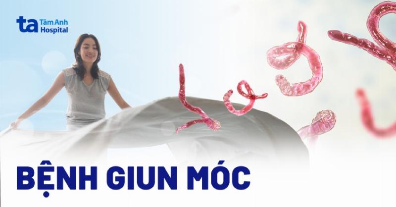 Minh họa các biện pháp phòng ngừa giun sán cho chó con: vệ sinh, tránh khu vực bẩn
