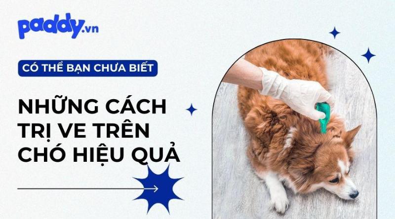 Bộ sưu tập các loại sản phẩm phòng ve cho chó phổ biến (thuốc nhỏ gáy, vòng cổ, thuốc uống)