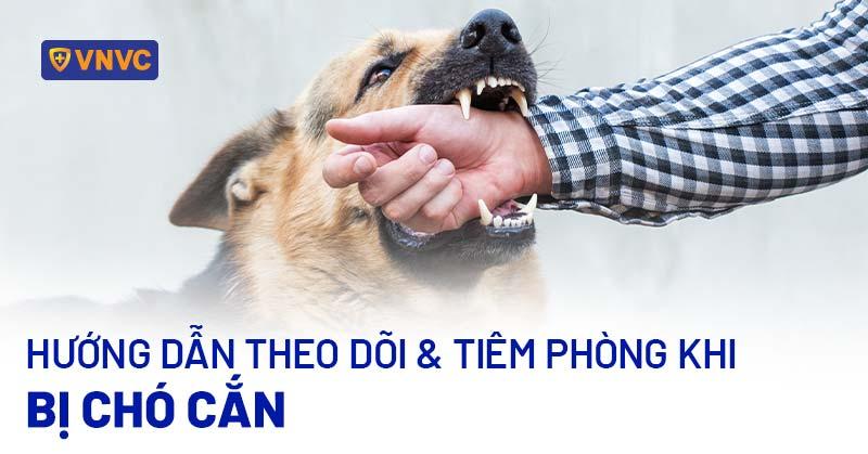 Bảng theo dõi chi tiết hành trình chó chửa bao nhiêu ngày theo từng tuần.