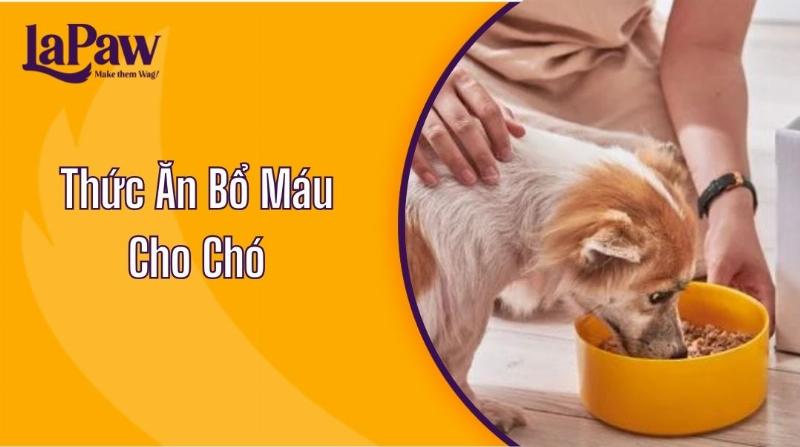 Các loại thực phẩm giàu dinh dưỡng giúp bổ sung máu cho chó hiệu quả