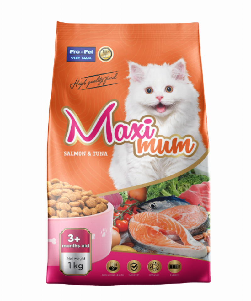 Túi thức ăn hạt khô chất lượng cao dành cho mèo con