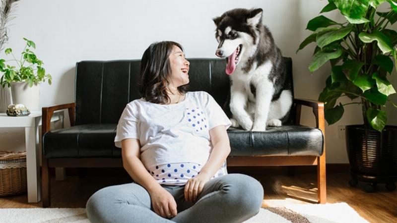 Hình ảnh minh họa thuốc tiêm trị ve chó và vết suýt trên da chó do ve rận gây ra