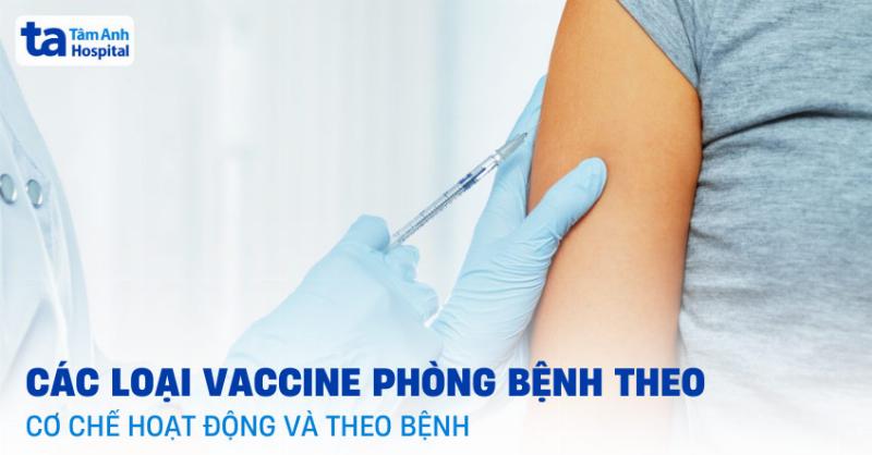 Hình ảnh minh họa các loại vacxin dịch tả lợn cổ điển, bao gồm vacxin sống giảm độc lực và vacxin vô hoạt.